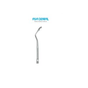 INSERT BERNARD 2 (296-2) - ASA DENTAL