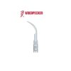 INSERT DE DETARTRAGE G1 TYPE EMS - WOODPECKER