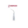 INSERT G2 POUR PROPHYLAXIE COMPATIBLE EMS - WOODPECKER