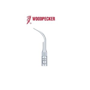 INSERT G2 POUR PROPHYLAXIE COMPATIBLE EMS - WOODPECKER